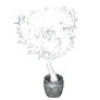 [Event] Kamasylve Pot Decoration