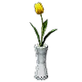 Yellow Tulip Pot