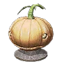Oddly Shaped Pumpkin