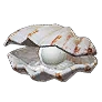 King Clam