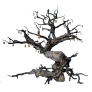 [Manor] Caphras Tree