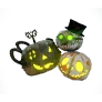 [Event] Baby Pumpkin B