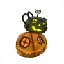 [Event] Baby Pumpkin D