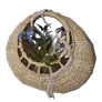 Mushroom Basket