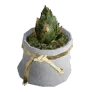 Pocket Flower Pot