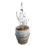 Flower Pot with Warm Lighting