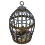 Caged Parrot