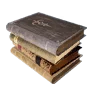 Fintomaria Sailing Log I