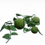 [Manor] Pleasantly Plump Gourd Vine