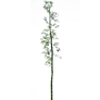 [Manor] Small Bamboo Tree