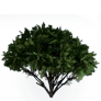 [Manor] Village Small Pine Tree