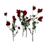 [Manor] Red Rose Bush