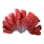 Red Coral
