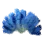 Blue Coral