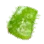 Cactus Rind