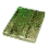 Small Tree Plywood