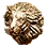 Lion's Gaze