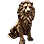 Indomitable Lion of Serendia