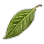 Laurel Leaves