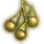 Fruit of the Sun