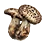 Tiger Mushroom