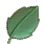 Insectivore Plant Leaf