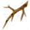 Thin Vines
