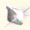 Brilliant Pearl Shard