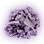 Ancient Kutum's Fragment