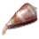 Cone Snail
