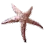 Diamond Starfish
