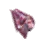 Broken Shell