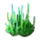 Round Head Corals