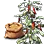 Hot Pepper Seed