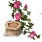 Delotia Seed