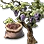 Special Grape Seed
