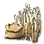 Wheat Seed