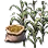 Special Corn Seed