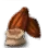[Event] Cacao Seed
