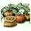 Mysterious Pumpkin Seed