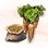Mysterious Carrot Seed