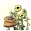 Mysterious Sunflower Seed