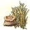 Mysterious Barley Seed