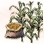 Mysterious Corn Seed
