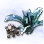 Mysterious Sunrise Herb Seed