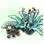 Mysterious Fire Flake Flower Seed