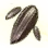 Mysterious Everlasting Herb Seed
