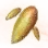 Mysterious Arrow Mushroom Hypha