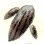 Mysterious Dwarf Mushroom Hypha