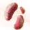 Mysterious Emperor Mushroom Hypha